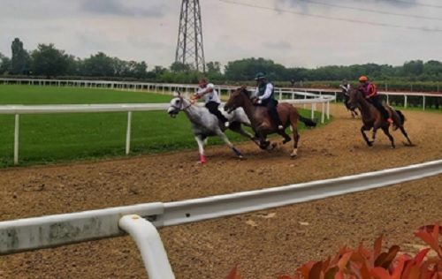 legnano palio corse addestramento