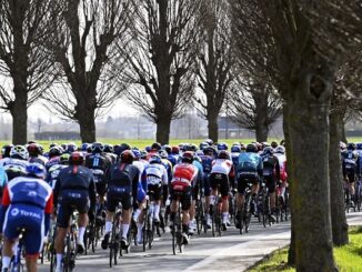 ciclismo classiche fiandre