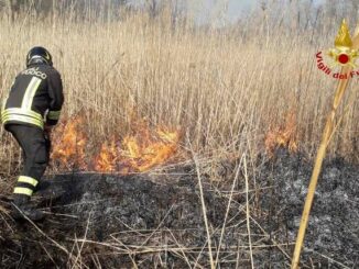 laveno incendio torbiera