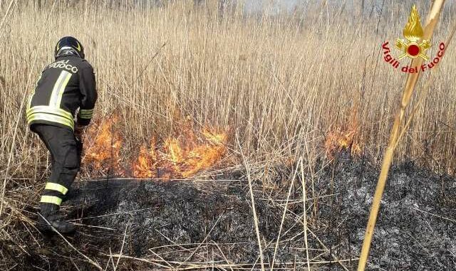 laveno incendio torbiera