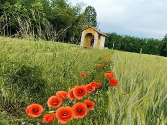libera mornago collaborare opere 02