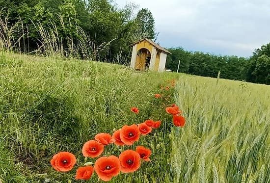 libera mornago collaborare opere 02