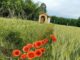 libera mornago collaborare opere 02