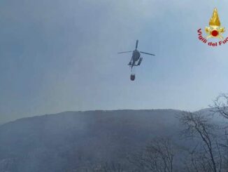marchirolo incendio boschi