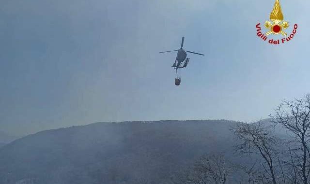marchirolo incendio boschi