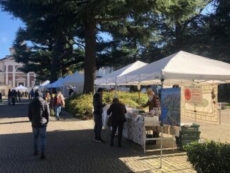 olgiateolona mercato contadino terraemani