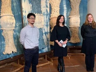 busto arsizio visite guidate metamorfosi