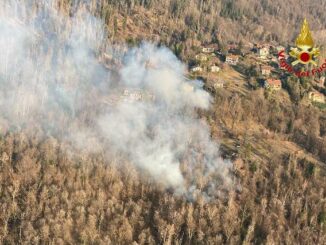 montegrino incendio boschi