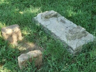 legnano amga verde segnalazioni