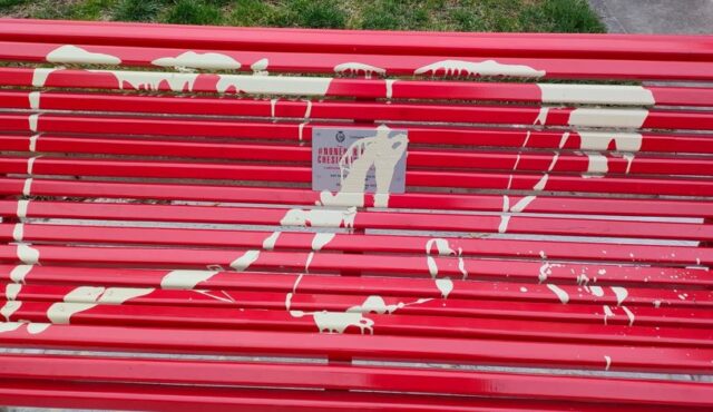 vergiate vandalizzata panchina rossa