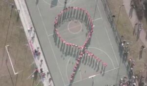 canegrate camminata rosa airc