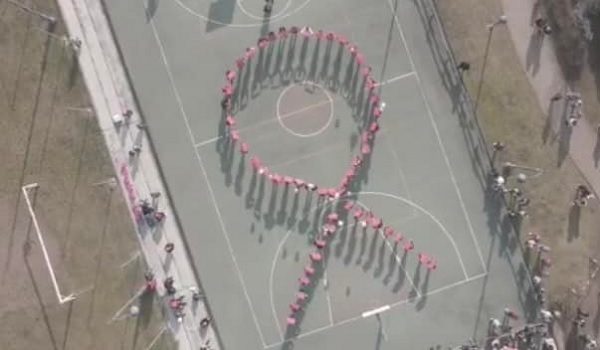 canegrate camminata rosa airc