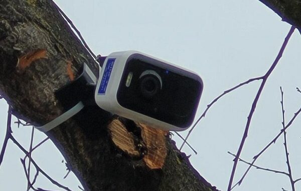 telecamera legnano rifiuti multe polizialocale fototrappole