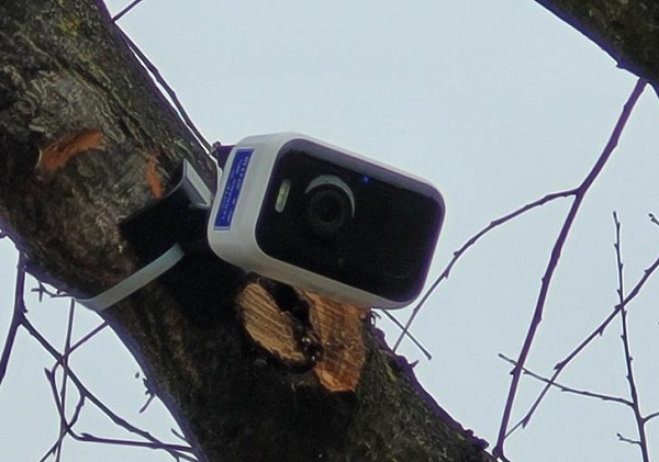 telecamera legnano rifiuti multe polizialocale fototrappole