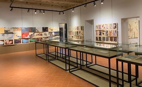 varese musei visite gratuite 01