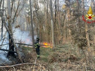 vergiate incendio boschi cuirone