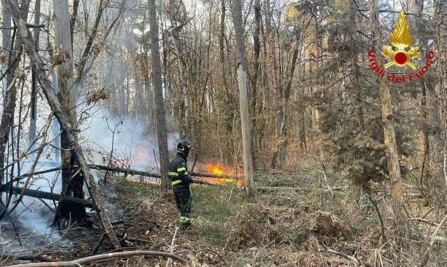 vergiate incendio boschi cuirone