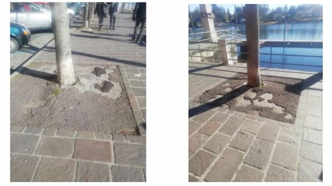 sesto viale italia riqualificazione