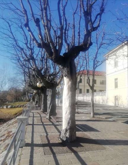 sesto viale italia riqualificazione