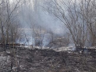 turbigo incendio parco vigilidelfuoco