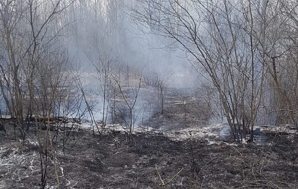 turbigo incendio parco vigilidelfuoco