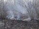 turbigo incendio parco vigilidelfuoco