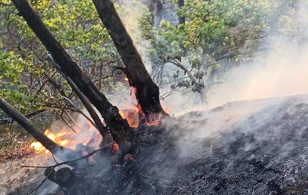 Angera incendio Molgora ordinanza