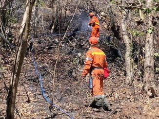 Angera incendio Molgora ordinanza