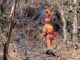 Angera incendio Molgora ordinanza