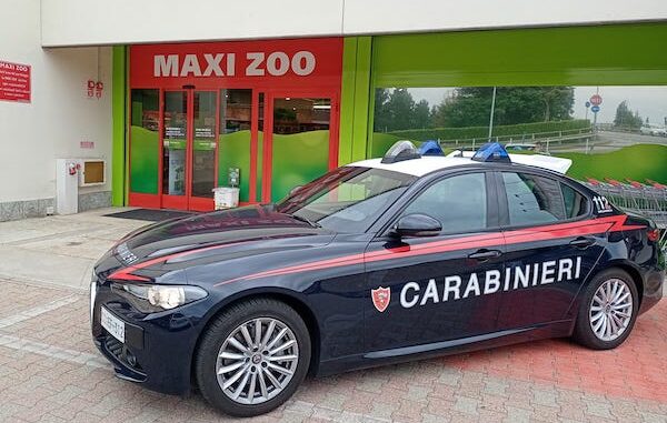 Gallarate maxi zoo rapina