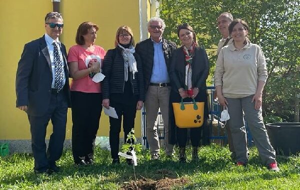 vanzaghello albero bosco scuola