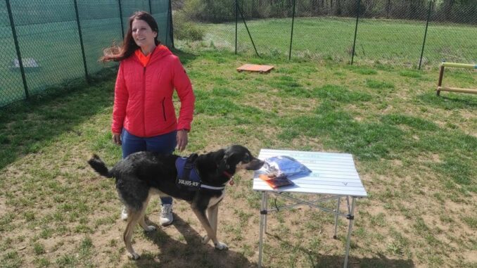 albizzate incontro educatore cani