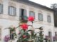 casalzuigno giornate camelie fai