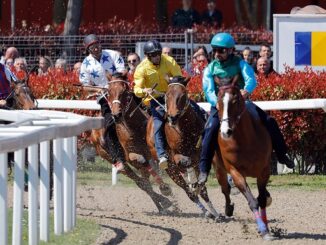 legnano palio caduta cavalli