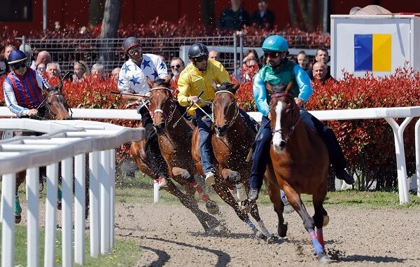 legnano palio caduta cavalli