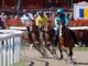 legnano palio caduta cavalli