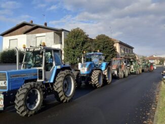dairago fiera primavera trattori