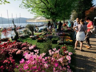 ispra infiorita evento primavera
