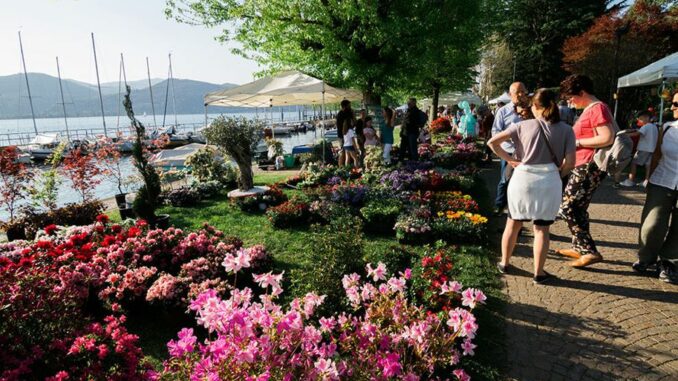 ispra infiorita evento primavera