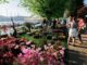 ispra infiorita evento primavera