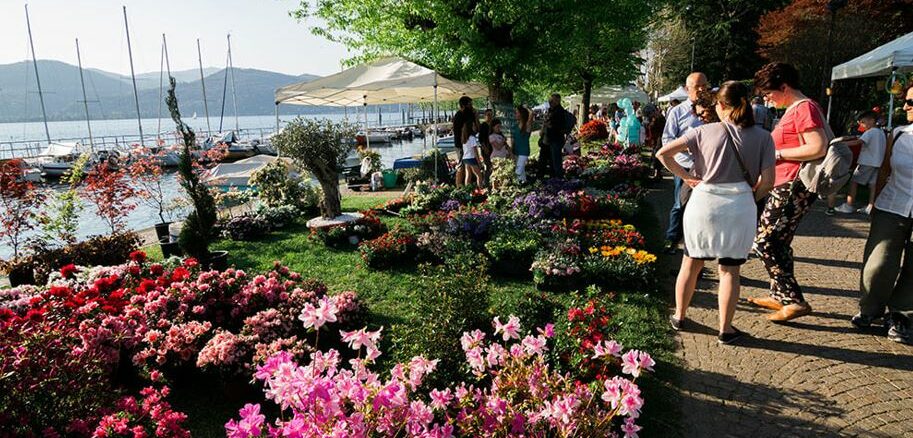 ispra infiorita evento primavera