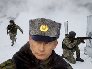 pellerin putin cina