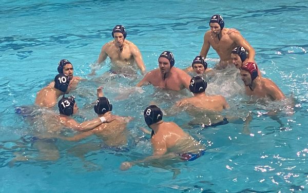 legnano pallanuoto rarinantes seriec