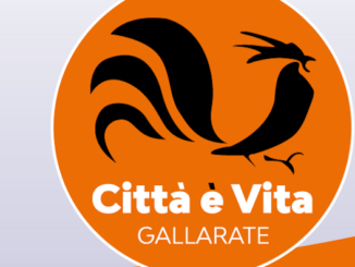 Gallarate città e vita mef