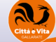 Gallarate città e vita mef