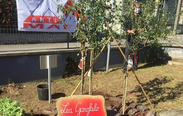 canegrate vittime mafia muro