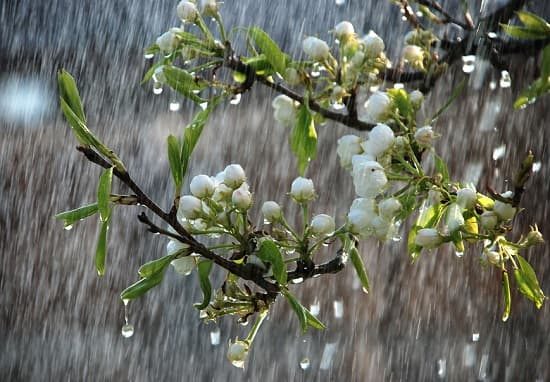 alta pressione pioggia fresco