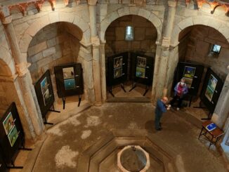 arsago mostra beluffi patronale