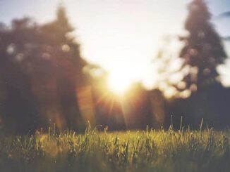 bel tempo clima estivo