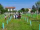 sangiorgiosulegnano bosco bambini